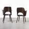 Model 515 Side Chairs attributed to Oswald Haerdtl, 1950s, Set of 2 3