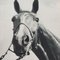 Fiery Crags und Peter Stackpole, Horse & Man, 1940er, Photogravure, Gerahmt 9