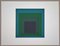 Josef Albers, Homage to the Square, 1972, Original Siebdruck 3