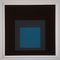 After Josef Albers, Homage to the Square, 1973, Screenprint, Image 8