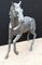 Italian Outdoor Horse Statue in Bronze 5
