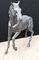 Italienische Outdoor Pferd Statue aus Bronze 5