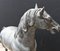 Italian Outdoor Horse Statue in Bronze 7