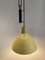 Type 2066 Pendant Lamp attributed to Gino Sarfatti, 1950s 6