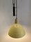 Type 2066 Pendant Lamp attributed to Gino Sarfatti, 1950s, Image 6