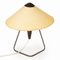 Lampe Vintage Inspirée de la Chine, 1950s 1
