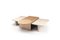 Stick & Stones Center Table by Dooq 3
