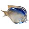 Modernist Blue Murano Glass Tropical Fish in the Style of Seguso, 1970s 9