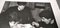 Póster de los Beatles de tablero Ouija de Michael McCartney, años 60, Imagen 5