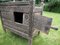 Antique Orient Cedar Wood Treasure Dowry Chest, Nuristan Afghanistan, 19th Century 8