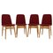 Elm Dining Chairs, Czechoslovakia, 1960s, Set of 4 1