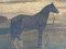 Cavallo, XIX secolo, olio su tavola, Immagine 8
