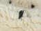 Tiny Dalmatian Berber Rug, 2010s, Image 6