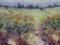 Badosar, paesaggio con papaveri, anni '50, olio su tela, Immagine 6