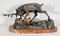 Thomas François Cartier, Stag Attacking a Dog, Early 1900s, Bronze 17