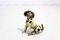Collection of Dogs in Tin, Italy, 1970s, Set of 11, Image 10