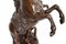 Horses Fireplace Set in the style of G. Coustou, Set of 3 20