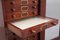 19th Century Antique Mahogany Collectors Cabinet, 1860s, Image 5