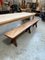 Large Elm Bench, 1920s 2