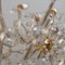 Maria Theresa Gold-Plated Swarovski Chandelier, 1950 3