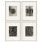 Karl Blossfeldt, Flowers, Photogravures, 1942, Framed, 4er Set 1