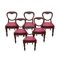 Victorian Balloon Back Dining Chairs in Walnut and Mahogany, Set of 6 1