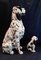 Life-Size Italian Hand-Painted Ceramic Dog Figurines, 1980s, Set of 2 3