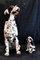 Lebensgroße handbemalte italienische Hundefiguren aus Keramik, 1980er, 2er Set 1
