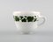Grünes Ivy Vine Leaf Porzellan Kaffeeservice von Meissen, 1940er, 30er Set 9