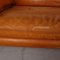 Brown Leather DS 61 2-Seat & 3-Seat Sofa Set from de Sede, Set of 2 3