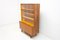Mid-Century Bookcase attributed to the Interior Prague, Czechoslovakia, 1960s 3