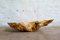 Swedish Folk Art Organic Burl Curly Birch Tiger Bowl, 1980s, Image 5