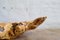 Swedish Folk Art Organic Burl Curly Birch Tiger Bowl, 1980s, Image 7