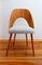 Chairs from Proj. A. Suman, Tatr Nabytok for Tatra, Czechoslovakia, 1960s, Set of 4 15