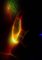 G23LAB, Messier 17, 2022, Chromaluxe Farbsublimierung auf Aluminium 1