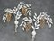 Metal Palm Tree Wall Lights attributed to Hans Kögl, Set of 2 4