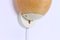Applique Murale Nd 11 en Fibre de Verre par Louis C. Kalff pour Philips, 1950s 8
