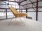 G1 Chair attributed to Pierre Guariche for Airborne, 950s, Image 3