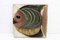 Fisch Keramikplatte, 1950 1