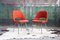 Sedie esecutive Mid-Century moderne in acciaio cromato e lana arancione di Eero Saarinen per Knoll, anni '60, set di 8, Immagine 2