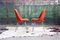 Mid-Century Modern Chromed Steel & Orange Wool Executive Chairs by Eero Saarinen for Knoll, 1960s, Set of 8 6