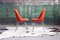 Mid-Century Modern Chromed Steel & Orange Wool Executive Chairs by Eero Saarinen for Knoll, 1960s, Set of 8, Image 6