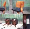 Gepolsterte Mid-Century Esszimmerstühle aus Bugholz von Thonet, 1950er, 6 . Set 4