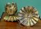 Golden Leaf Wall Lights, 1950s, Set of 2, Image 10