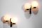 French F521 Sconces in Opaline and Brass, 1950s, Set of 2 3