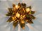 Florentine Golden Flower Shape Flushmounts attributed to Banci, Italy, 1960s, Set of 2 11