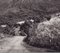 Fotografia in bianco e nero di Hanna Seidel, Ecuadorian Landscape, 1960, Immagine 2