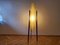 Lámpara de pie Rocket Mid-Century, años 60, Imagen 12