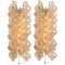 Tulipan Wall Lamps or Sconces attributed to J.T. Kalmar, 1960s, Set of 2 2