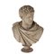 Bust of Caracalla in Terracotta from Signa Italy, 1900, Image 1